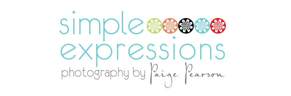 Simple Expressions Photography logo